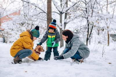 一家人和狗在雪中玩耍