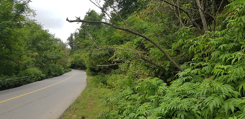 路