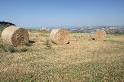 Civitella del Tronto (Abruzzi)附近的景观在夏天