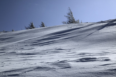 雪