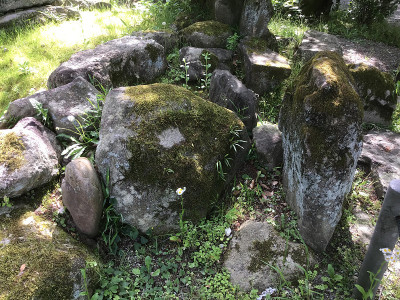 日本花园里长满苔藓的岩石