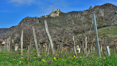 城堡的Durnstein