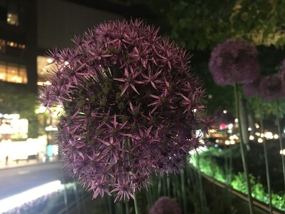 哥伦布圆环在春天的夜晚在曼哈顿，纽约，纽约。