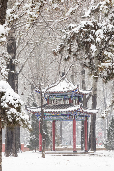 雪中的亭子