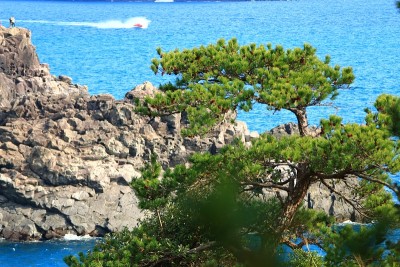 海岸，海岸，悬崖，悬崖，大海，