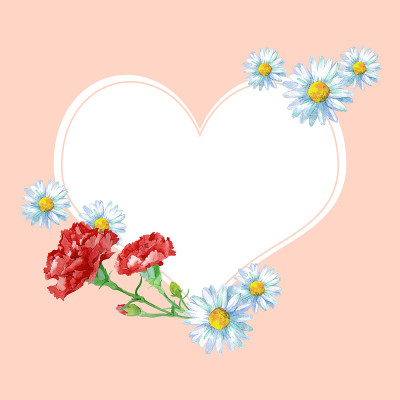 康乃馨和雏菊花心