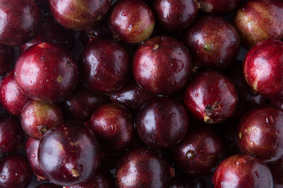 jaboticaba，典型的巴西水果在桌子上的锅，俯视图
