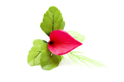 紫色的花和绿色的床单