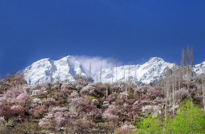 北部地区景观