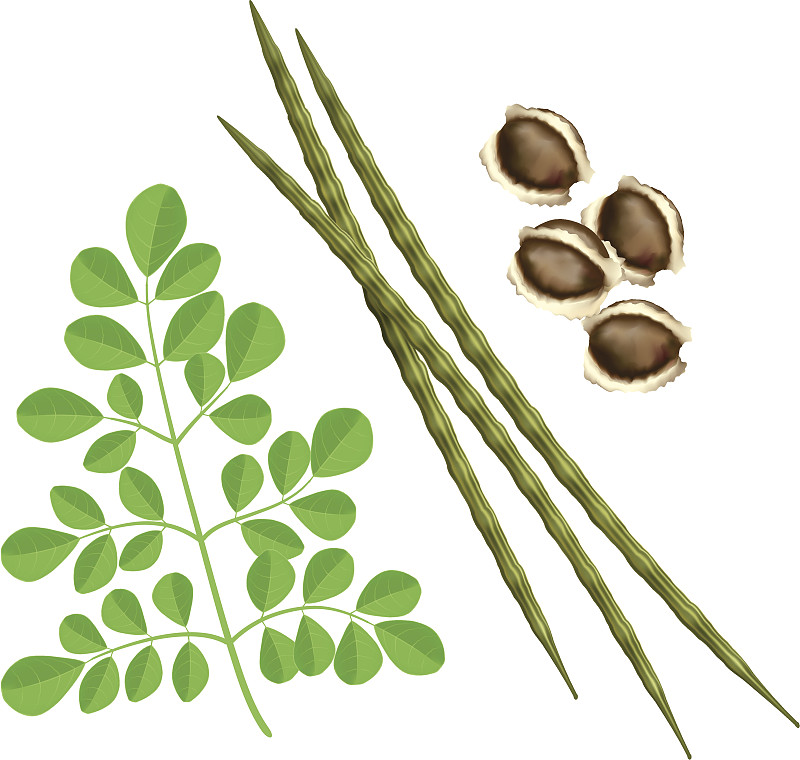 各种绿色植物和棕色坚果