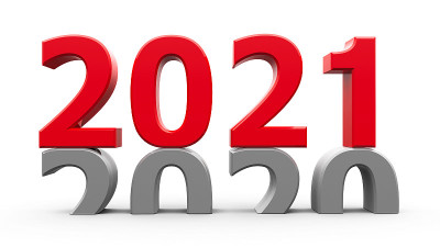 2020 - 2021年的红