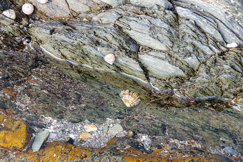 英国德文郡波特林克海滩上的海岸岩石