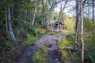 安泽岛(Solovetsky Islands)圣三一Skete附近通往春天的道路