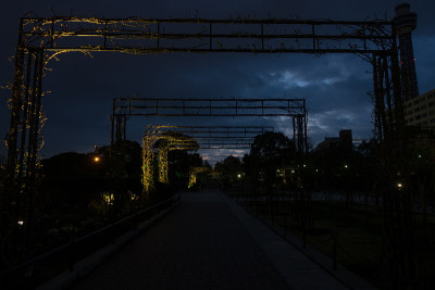 夜晚公园多刺的人行道