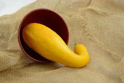 南瓜南瓜