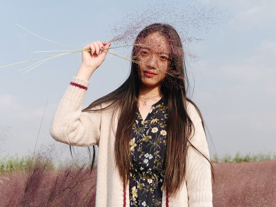 美丽的中国女孩的肖像抱着粉红色的头发在她的脸与头发多的领域背景。