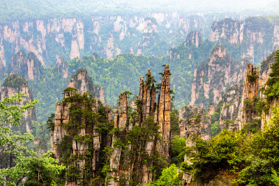 石英岩砂岩柱和山峰与绿树和山全景，张家界国家森林公园，中国湖南省
