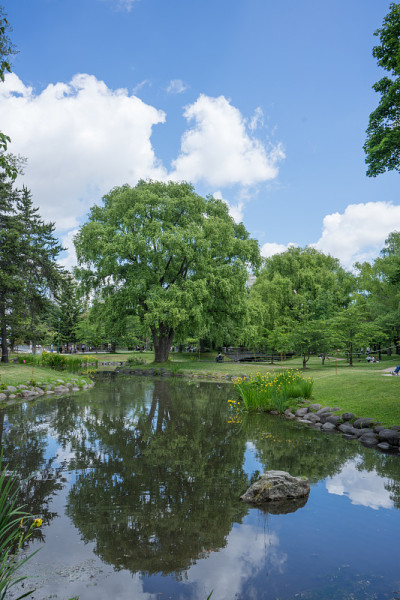 只是公园池塘