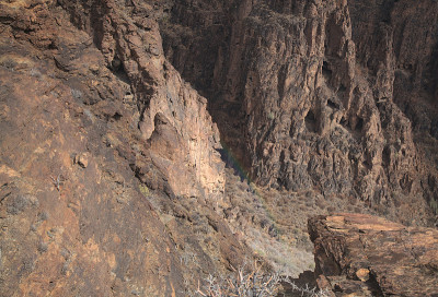 大卡纳里亚岛，沿着ravive Barranco Hondo的徒步旅行路线，岛屿南部的深峡谷，充满了