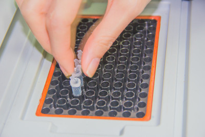 一步PCR