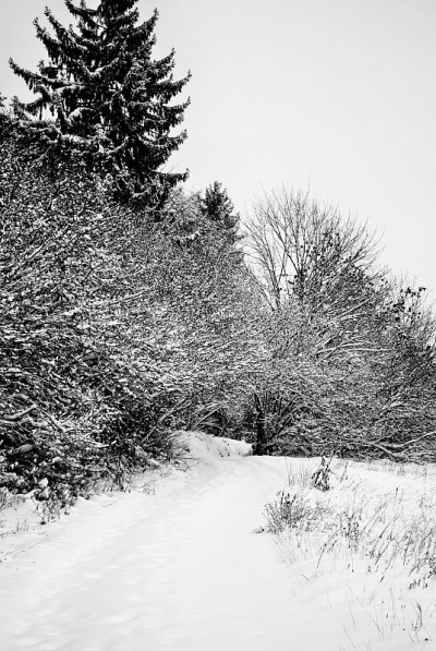 雪在山上