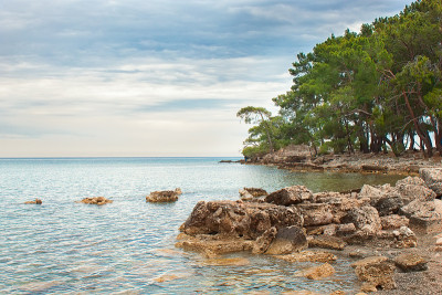 地中海风景。火鸡