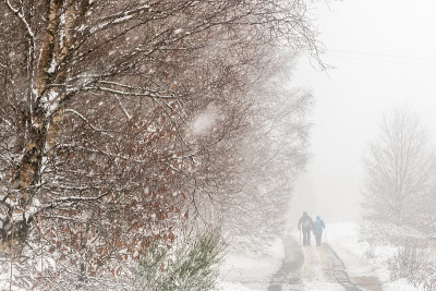雪覆盖了道路