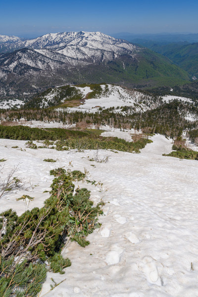 在春天的相竹山和熊泽watashiro