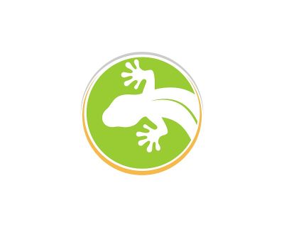 壁虎里面的圆圈标志