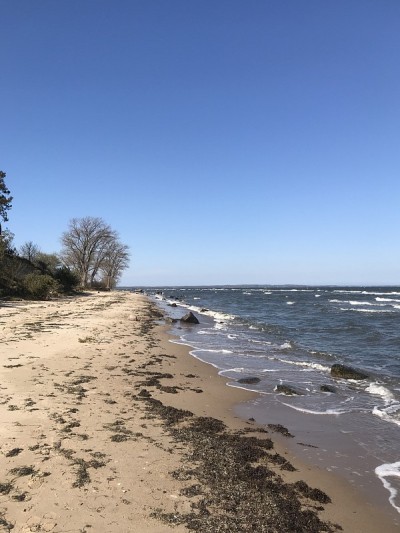 吕根Coastline