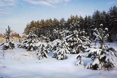 大雪后的黄昏景观