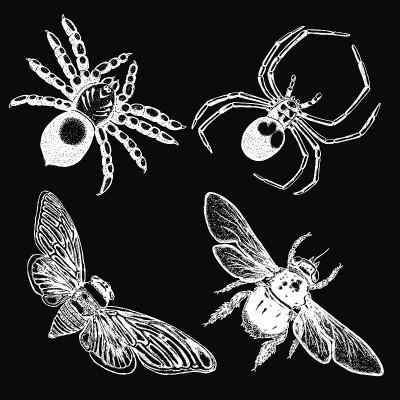 Insect stipple drawing set isolated. Insects and b