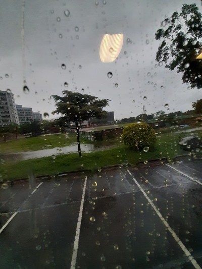雨