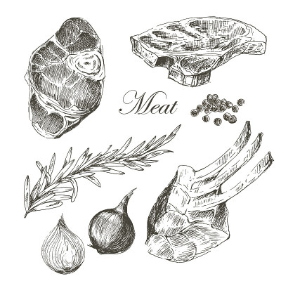 矢量牛排肉手绘与胡椒和迷迭香。详细的
