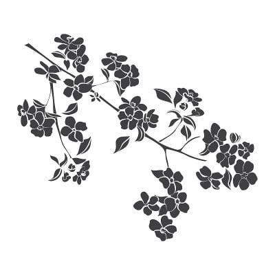 树枝一棵花