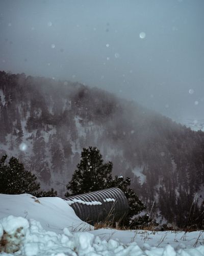 夜间生活