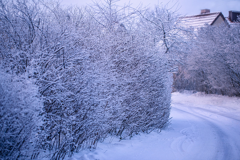 白雪覆盖的乡间小路