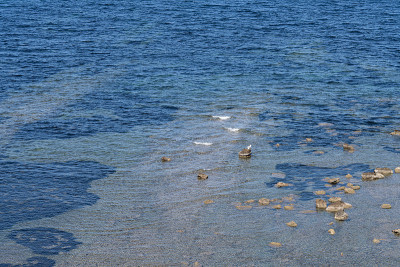 Monastir