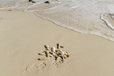 美丽的海景。白沙上的贝壳和奇特的鹅卵石，以及碧绿的波涛作为背景。大西洋。