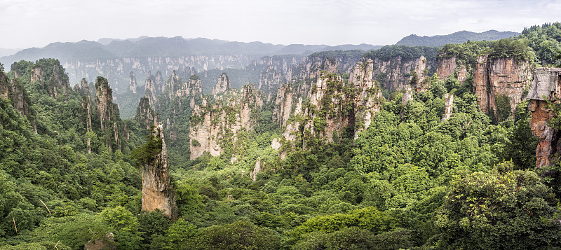 全景:中国湖南张家界国家森林公园武陵源风景区天子山柱喀斯特地貌