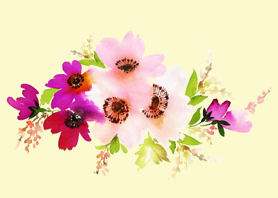 鲜花水彩插图