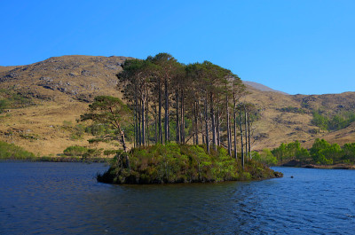 英国苏格兰西部高地的艾尔特湖岛