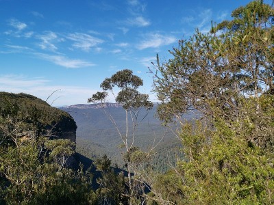 深谷高山，蓝山国家公园