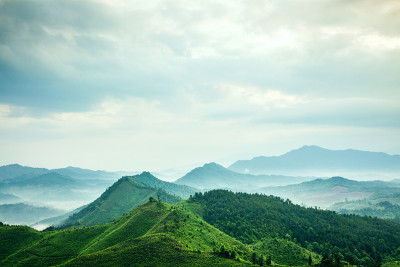 山在雾