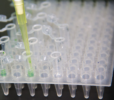 一步PCR