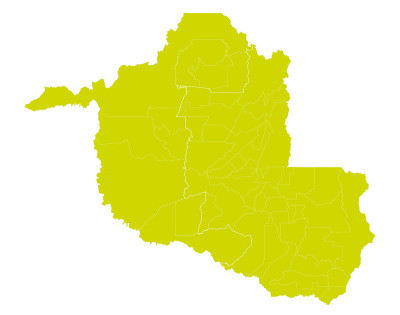 州Rondônia -市政边界
