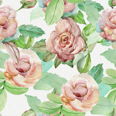 水彩作画。显示的玫瑰。
