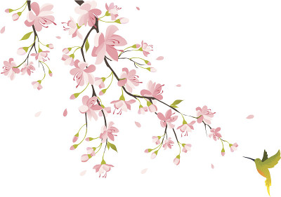 樱花