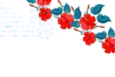 白色背景上美丽的花朵