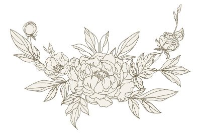 牡丹花束